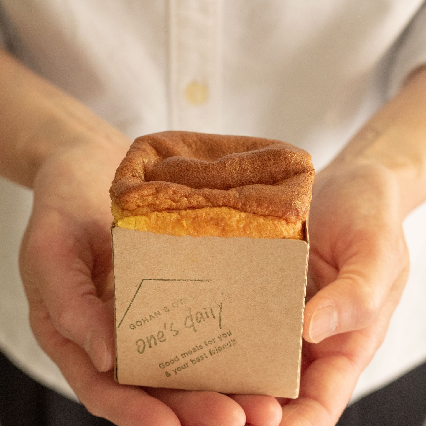 【骨つきチキンのおもちゃ付き】米粉のクリスマスケーキ