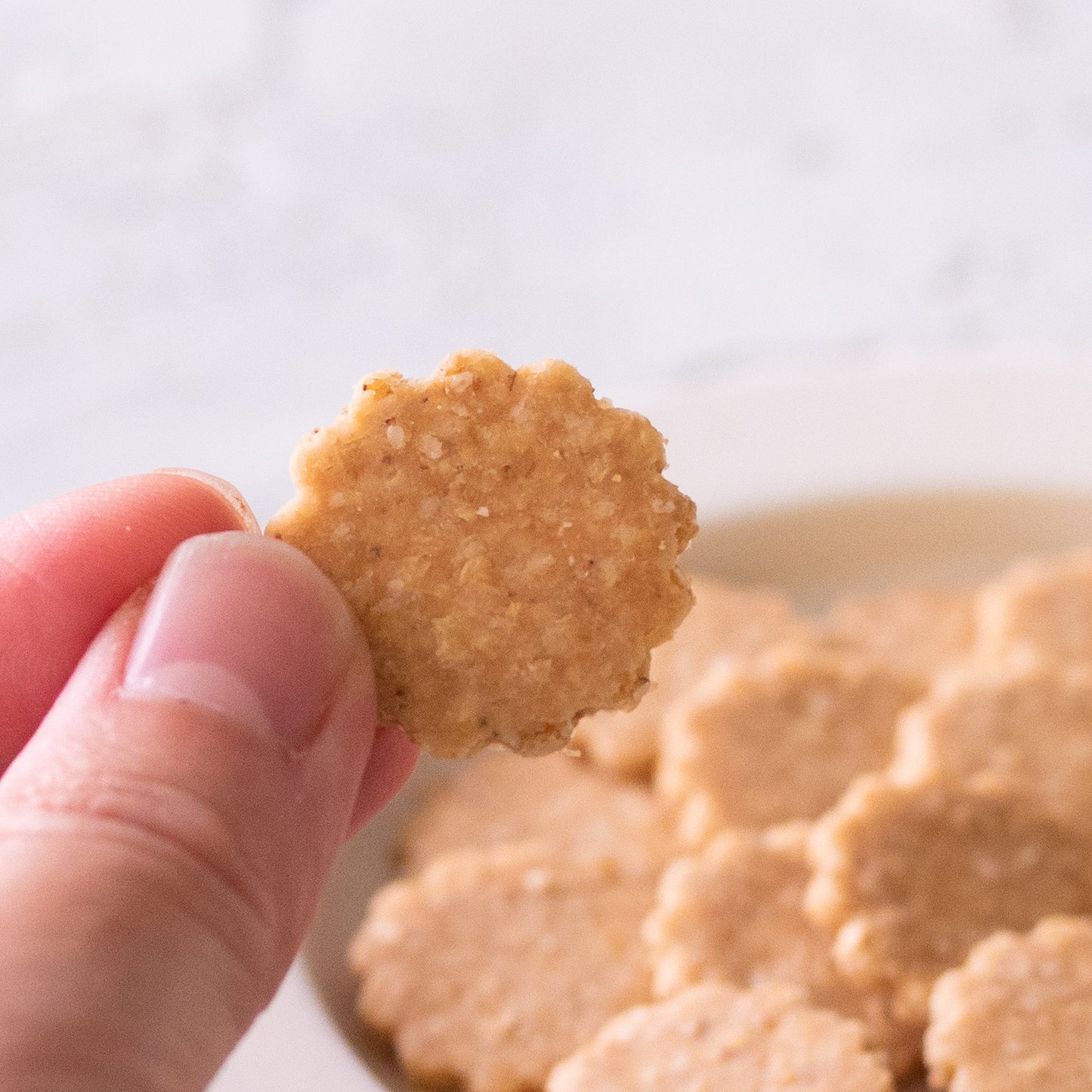 米粉の香ばしセサミクッキー