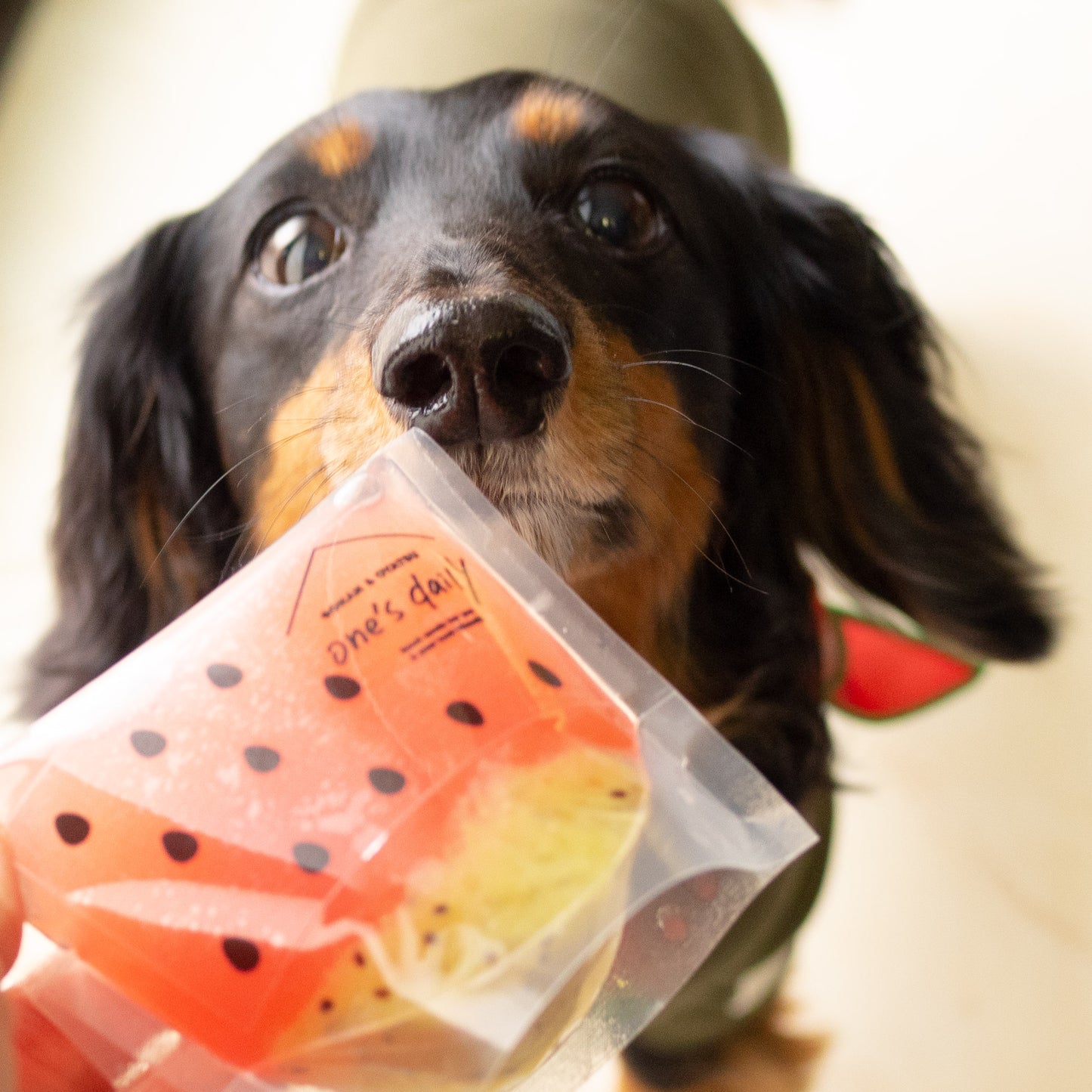 夏の水分補給!まるごと生すいかゼリー
