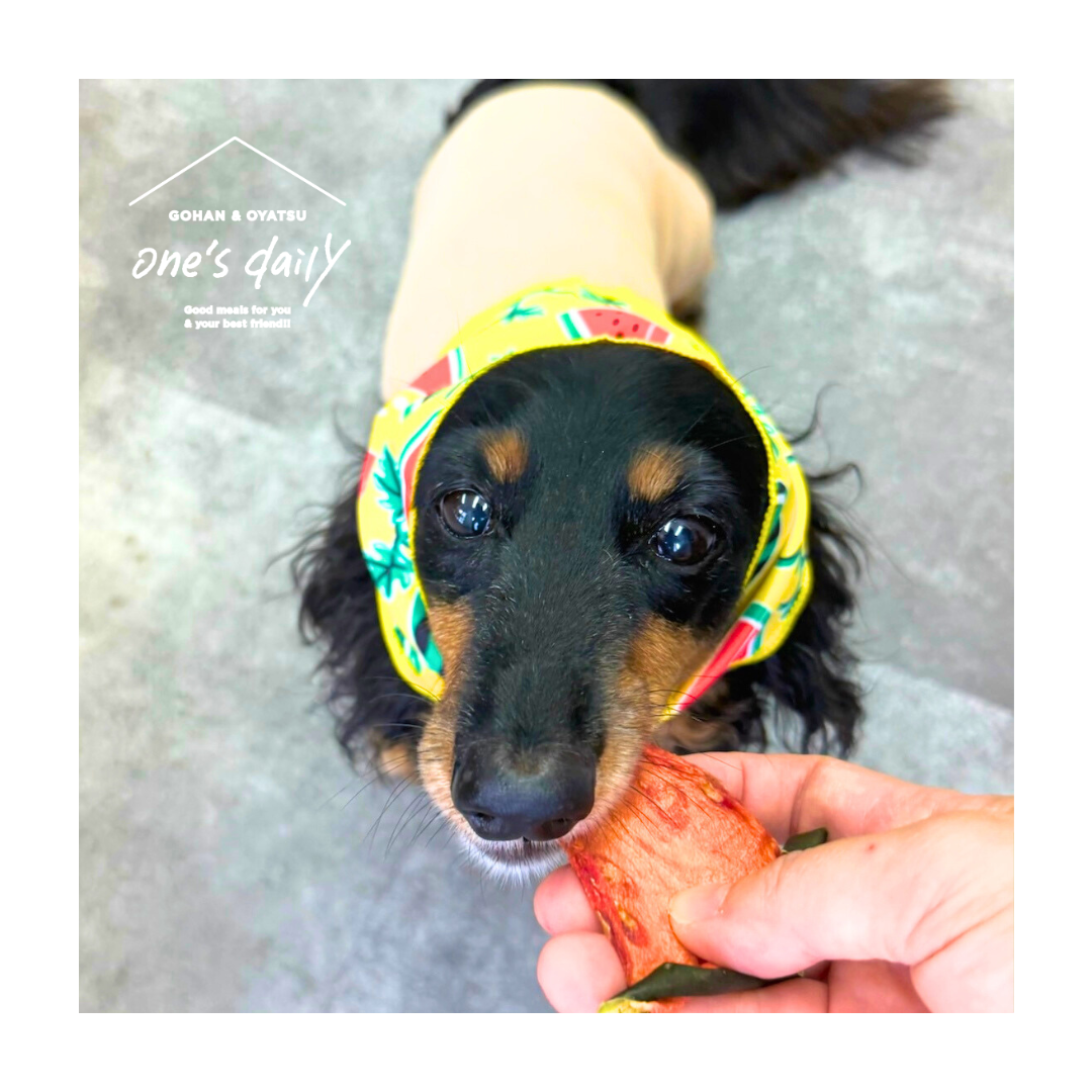 【すいかまつり】すいかバンダナ