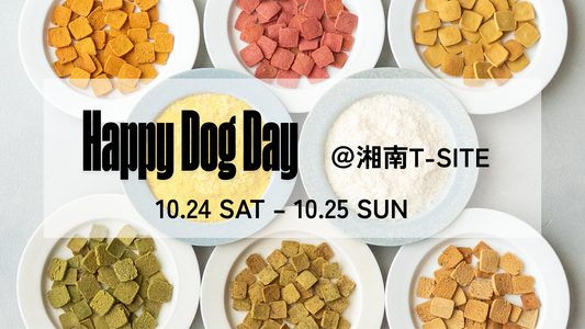 【10/24・25】湘南T-SITE「Happy Dog Day」に出店します｜デイリズムの試食・販売