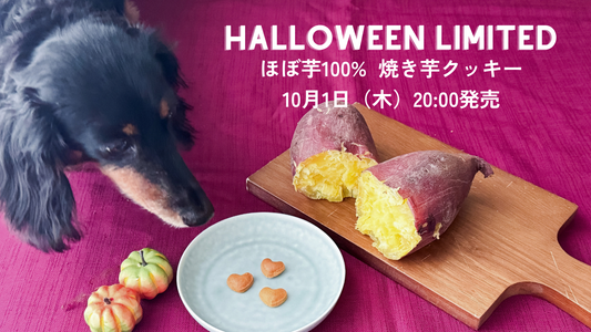 【ハロウィン限定】午後のおやつに、秋の楽しみを。ひるリズム「焼き芋クッキー」