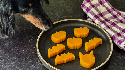 愛犬といっしょに楽しむハロウィンレシピ｜砂糖不使用・レンジで簡単！かぼちゃ羊羹