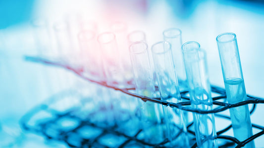 HÜGBIO®（ハグビオ）とは？麻布大学獣医学部の研究から生まれた犬由来乳酸菌
