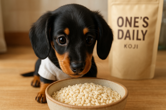 愛犬の腸活食材に注目！こうじの効果効能を徹底解説
